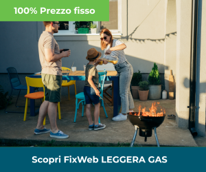 flexiweb leggera gas