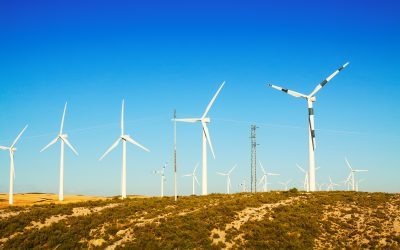 wind turbines at farmland in summer