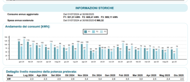 storico consumi 12 mesi (grafico ascii)