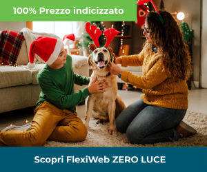 immagini megamenu met (8)