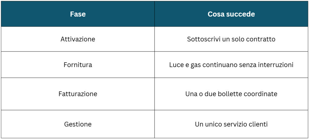 funzionamento delle offerte Dual fuel luce e gas