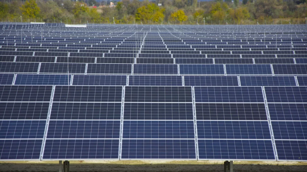 climate impact report website photo