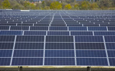 climate impact report website photo