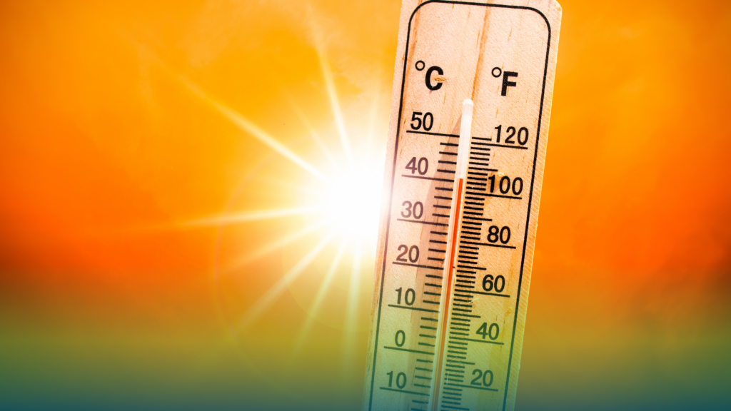 Rete elettrica, pannelli fotovoltaici e terreno secco durante un’ondata di caldo