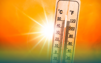 Rete elettrica, pannelli fotovoltaici e terreno secco durante un’ondata di caldo